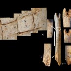 A neandervölgyi ember különös temetkezési rituáléjára utal egy új kutatás