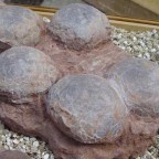 Útépítők találtak dinoszaurusztojásokat Dél-Kínában