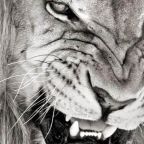 A stressz hízlal, úgyhogy nyugi!