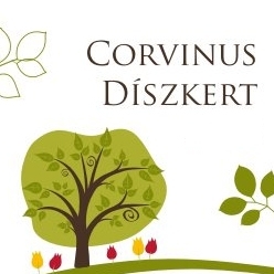 3939-12448-corvinus-diszkert-2014