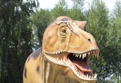 444bc23a5875793b552262d92f5705ceb82a2803