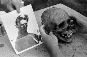 5af8c5c4-d20e-4ad0-a967-029bc6507d18