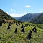 Az éghajlatváltozás okozhatta az ősi tibeti civilizáció összeomlását