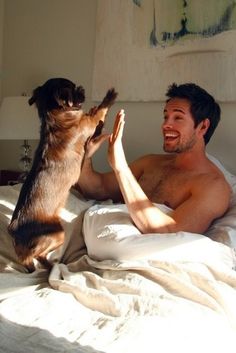 b99487a8ea82db221b28dcd3ae672e7b