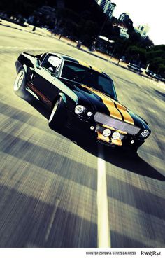 e0c782c5dfb81f55ed587a1a5f2a863f