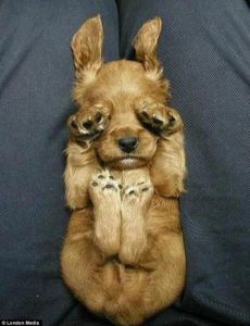 fe335773c7df6f368e07f588c7ccaafe