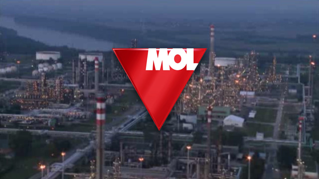 section_1A_page_13_video_MOL