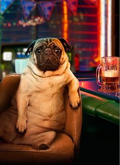 2761e56cf1af2d55e8d7749033880a52