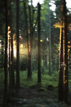 30be581df874d6fc84b416e3095b5d9d