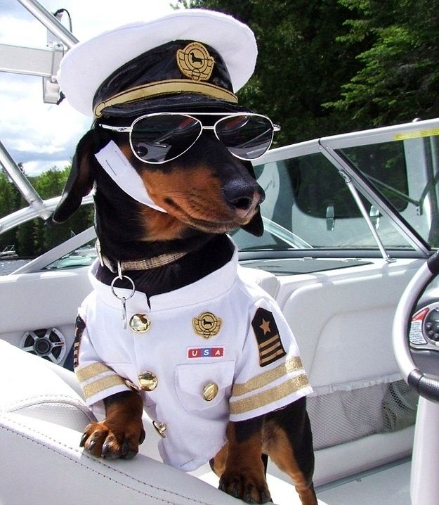 38bf720961e13f6364b6d236448165e9