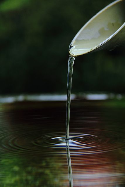 643ccb6834cb965de703c8f05f492a1e