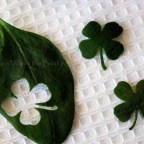 Szeretnéd, hogy szerencséd legyen? Íme