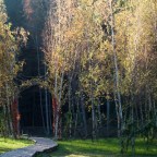 A természet katedrálisai – csodálatos videó