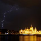 Csalánba nem üt a ménkű…