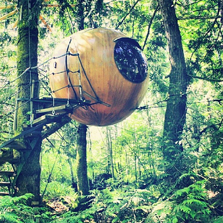 grid-cell-17670-1390966277-0