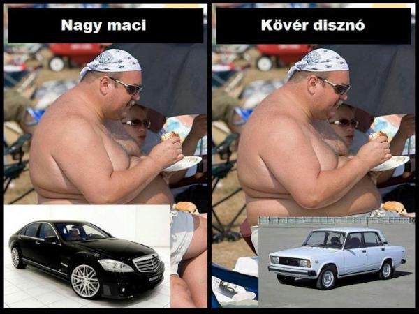 nagy_maci
