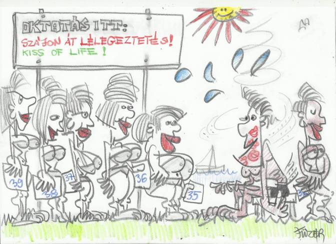 11665645_915327975213239_4609298670181541024_n