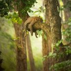 Szerkesztőségünk mai napja :)