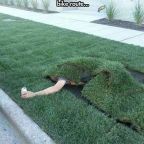 Hazafelé megfáradt a srác… :)