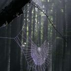 Az internet sötét oldala – a legmélyebb web titkai