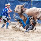 Bikarodeó Komáromban