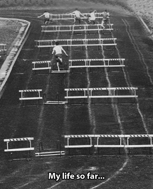 52f1513b9c7c87fdf31dcecf9bc971ff