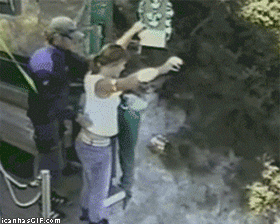 Nincs olyan, hogy meggondolod magad...!