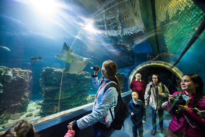 Nyíregyháza, 2015. szeptember 30. Látogatók a Nyíregyházi Állatpark Ócenáriumában 2015. szeptember 30-án. Európa legjobb állatkertje lett saját kategóriájában a Sóstó-Zoo, amely két dániai állatkerttel holtversenyben az elsõ helyen végzett az 500 ezer látogató alatti kategóriában egy független állatkerti elemzõ szervezet felmérése szerint. MTI Fotó: Balázs Attila