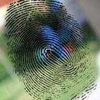 Sikeresnek ítélik a hajnani “kémelhárító forródrótot” Kínában