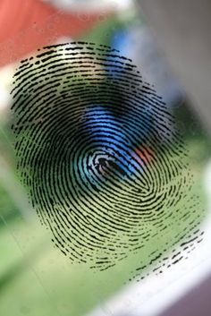 e9e3908b142f4bea44794d0fbd9074b2