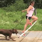 Nem úgy sikerült GIF-ek