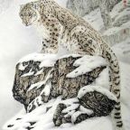 WWF: a hópárducot a kihalás szélére sodorta az éghajlatváltozás