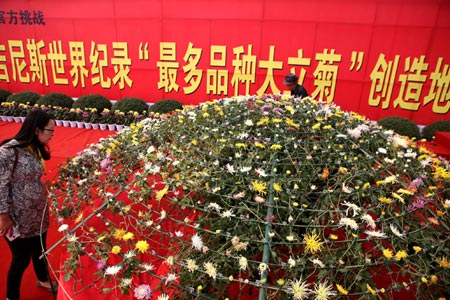 CA18N0030H_2015資料照片_N71_copy1