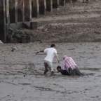 Iszapba süllyedt norvég madármegfigyelőket mentett meg egy thaiföldi munkás