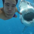 Nagyon kevés cápatámadás történt 2020-ban, de a korábbinál több volt a halálos kimenetelű