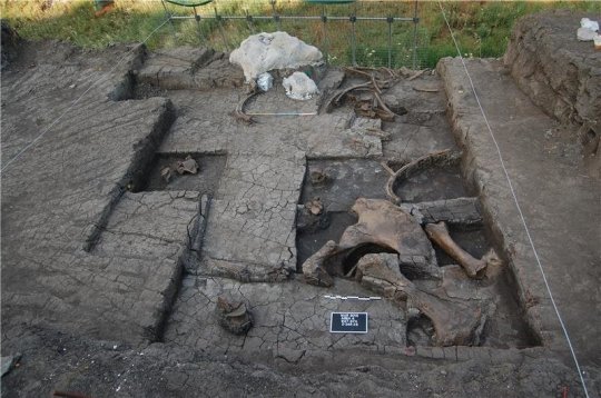 151125083934_1_540x360