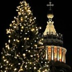 Megérkezett a karácsonyfa a római Szent Péter térre