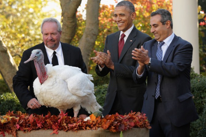 President Obama Pardons National Thanksgiving Turkey