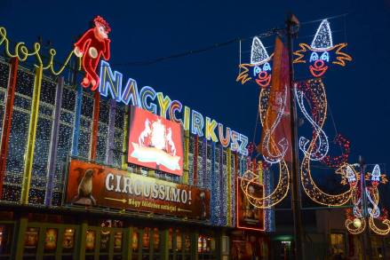 cirkusznyito