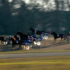 Szilveszteri ügetõ a Kincsem Parkban