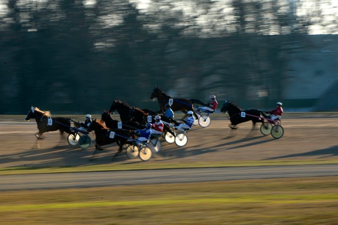 Budapest, 2015. december 31. Az elsõ futam mezõnye a budapesti Kincsem Parkban megrendezett hagyományos óévbúcsúztató Ügetõszilveszteren 2015. december 31-én. MTI Fotó: Kovács Tamás
