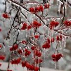 Hideg szilveszterre lehet számítani