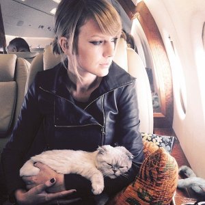 Pictures-Taylor-Swift-Cats