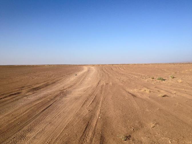 12509588_991787647535474_1815709168506473168_n