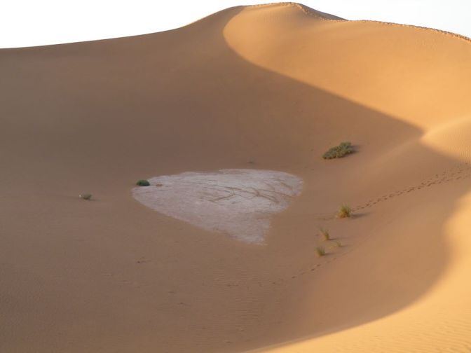 12510408_1095451070486363_750798623069792613_n