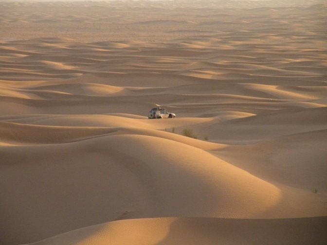 12573660_1095455223819281_3417959061112279648_n