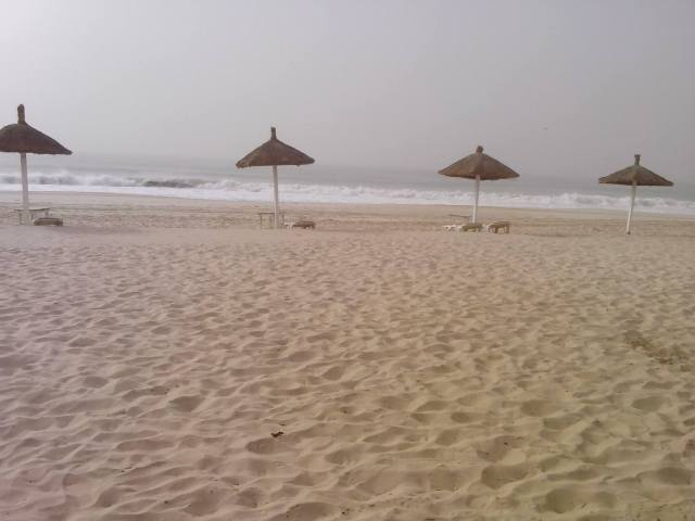 12605537_537391703108840_4882520316346129258_o