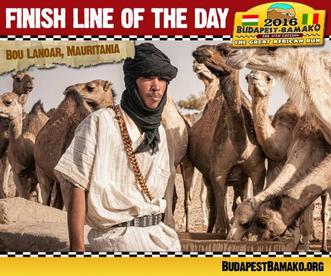 1934838_1105964712777623_6555571088622098678_n