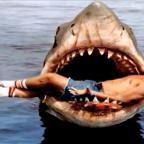 Bruce, a Cápa hőse beköltözik az amerikai filmakadémia jövőre megnyíló múzeumába