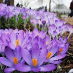 Február első napjaiban akár 15 foknál melegebb is lehet